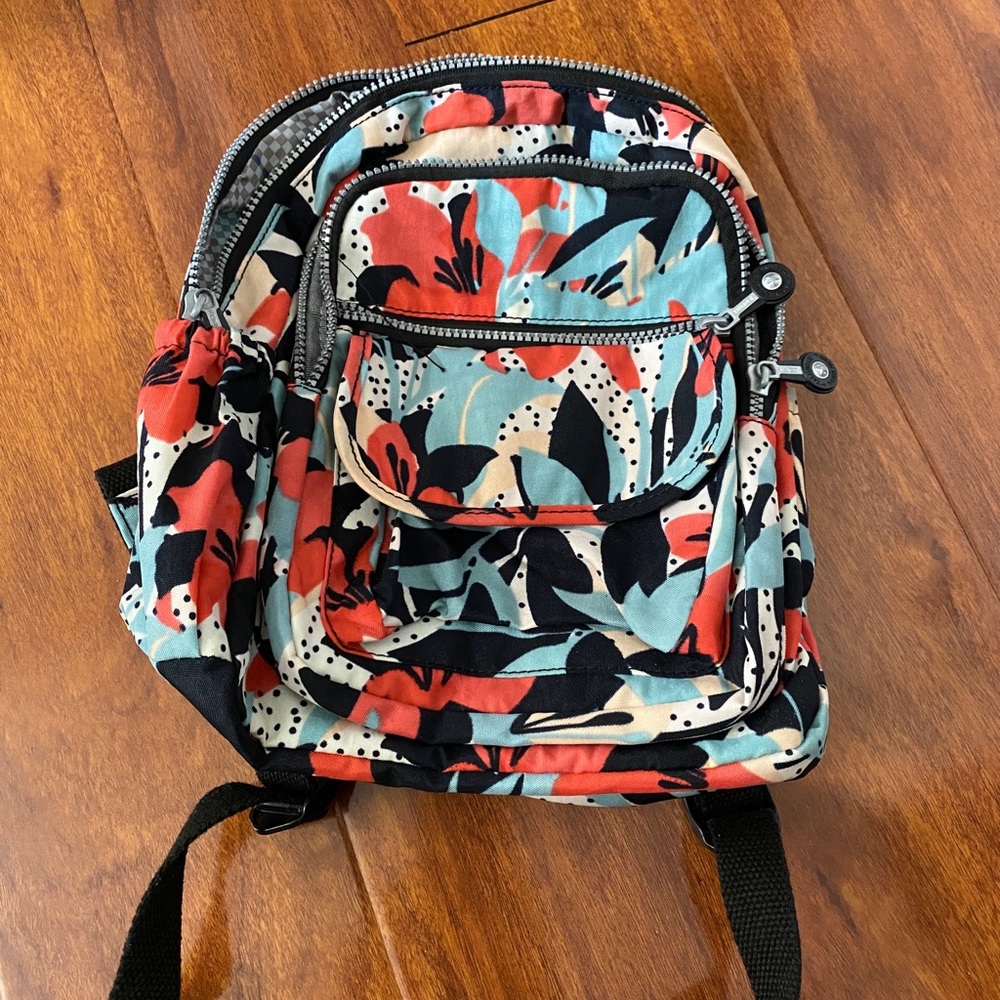 Color backpack